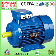 Y2 Three Phase Motor AC Electric Motor (CE, CCC)